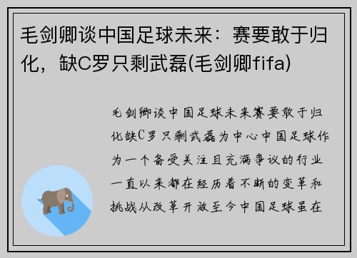 毛剑卿谈中国足球未来：赛要敢于归化，缺C罗只剩武磊(毛剑卿fifa)